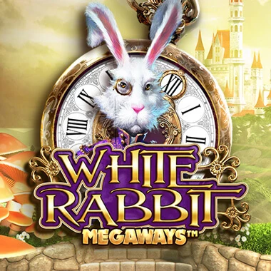 White Rabbit