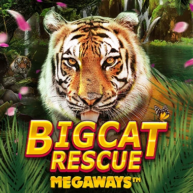 Big Cat Rescue Megaways