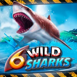 6 Wild Sharks™