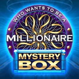 Millionaire Mystery Box