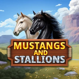 Mustang and Stallions