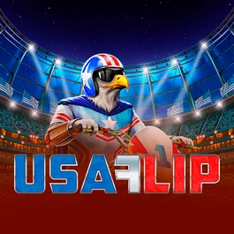 USA Flip