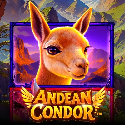 Andean Condor