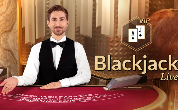 Blackjack VIP 47
