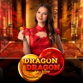 Dragon Dragon