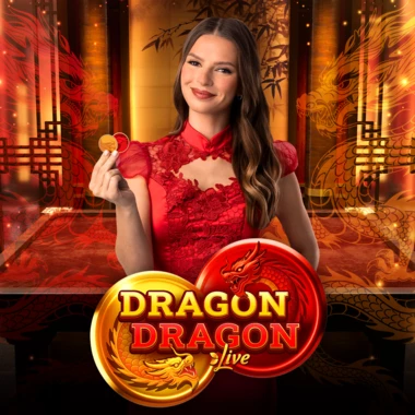 Dragon Dragon
