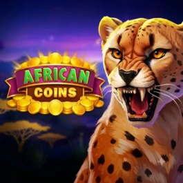 African Coins Hold and Spin