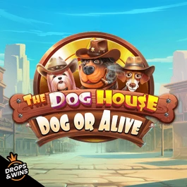 The Dog House Dog or Alive