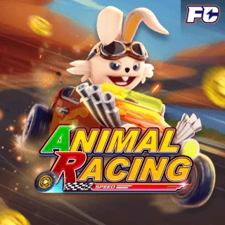 Animal Racing