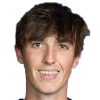Ehrenschneider, Nino