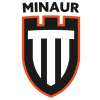 Minaur Baia Mare