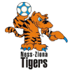Ness Ziona