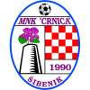 Crnica