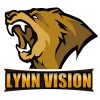 Lynn Vision Gaming