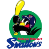 Tokyo Yakult Swallows