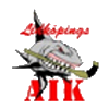 Lidkoping AIK