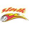 Slevik