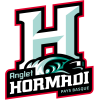Anglet Hormadi