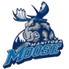 Manitoba Moose