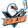 San Diego Gulls