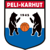 Peli-Karhut