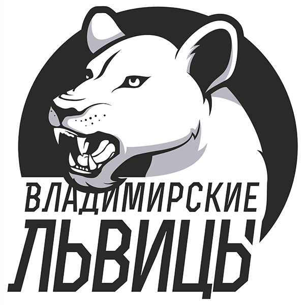 Vladimirskie lvicy-VLGU