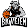 Vejen81
