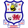 Holyhead Hotspur