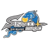 Shimane Susanoo Magic