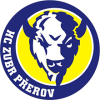 Zubr Prerov