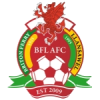 Briton Ferry Llansawel