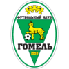 Gomel Reservas
