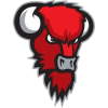 LoKoKo Bisons