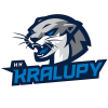 Kralupy nad Vltavou