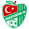 Yeni Amasyaspor