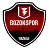 Yozgatspor 1959
