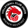 Viner-Noyshtadt