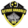 Beykoz Anadoluspor