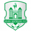 Borisov-900