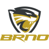 Brno