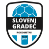 Slovenj Gradec 2011