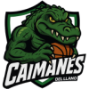 Caimanes del Villavicencio