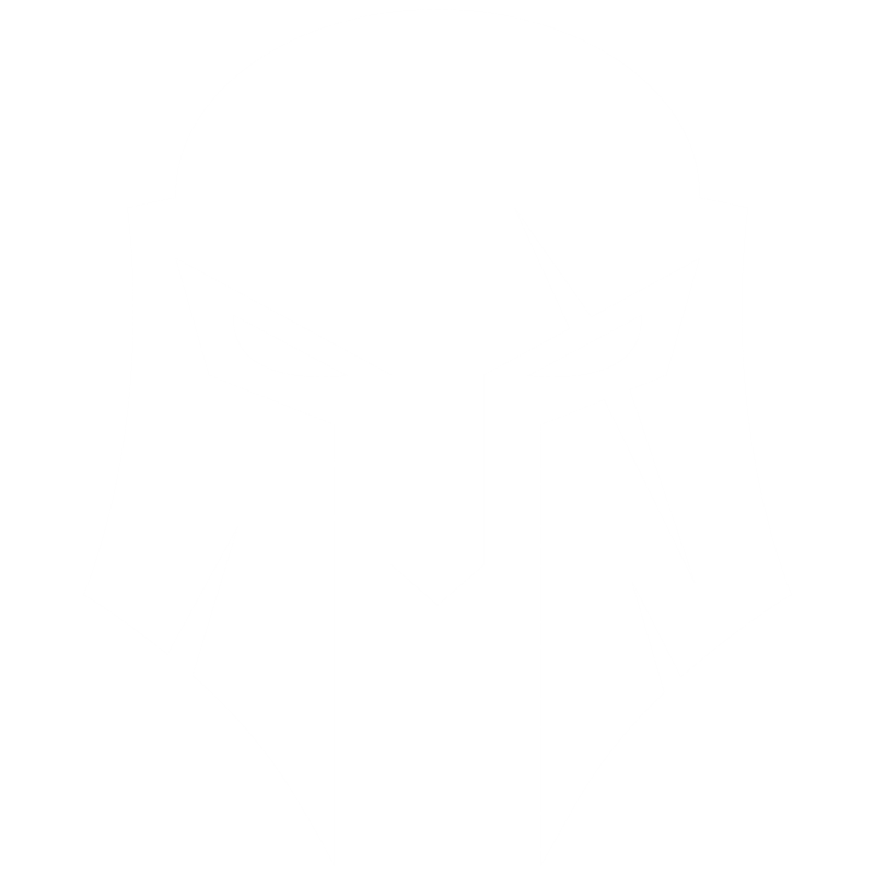 Brute