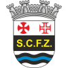 Ferreira Zezere