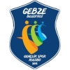 Гебзе Беледієсі