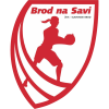 Brod na Savi