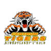 Centrum Tigers