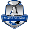 France. Ligue Magnus