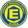 Элана Торунь