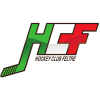Feltreghiaccio
